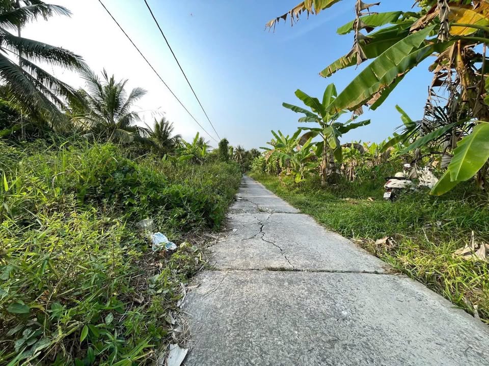 Bán Đất Vườn Bình Trưng Châu Thành 3497m² Giá 2.972 Tỷ - Nghỉ Dưỡng Lý Tưởng!