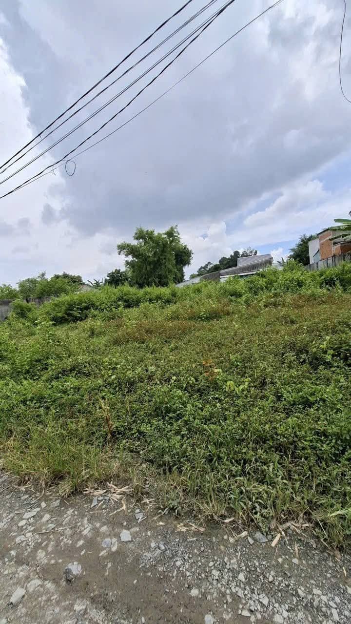 Đất thổ cư sổ hồng 103m² tại Châu Thành, Trà Vinh - Giá 550 triệu