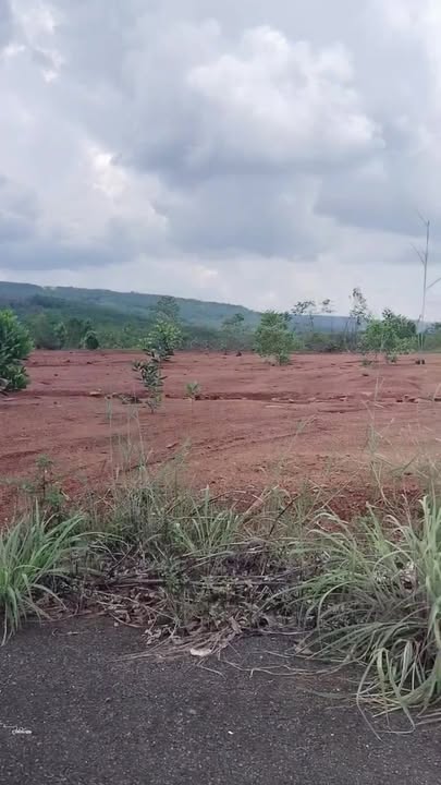 Đất Mặt Tiền Nhựa Đồng Xoài 1200m² - Sẵn Sàng Xây Nhà Vườn, Trang Trại