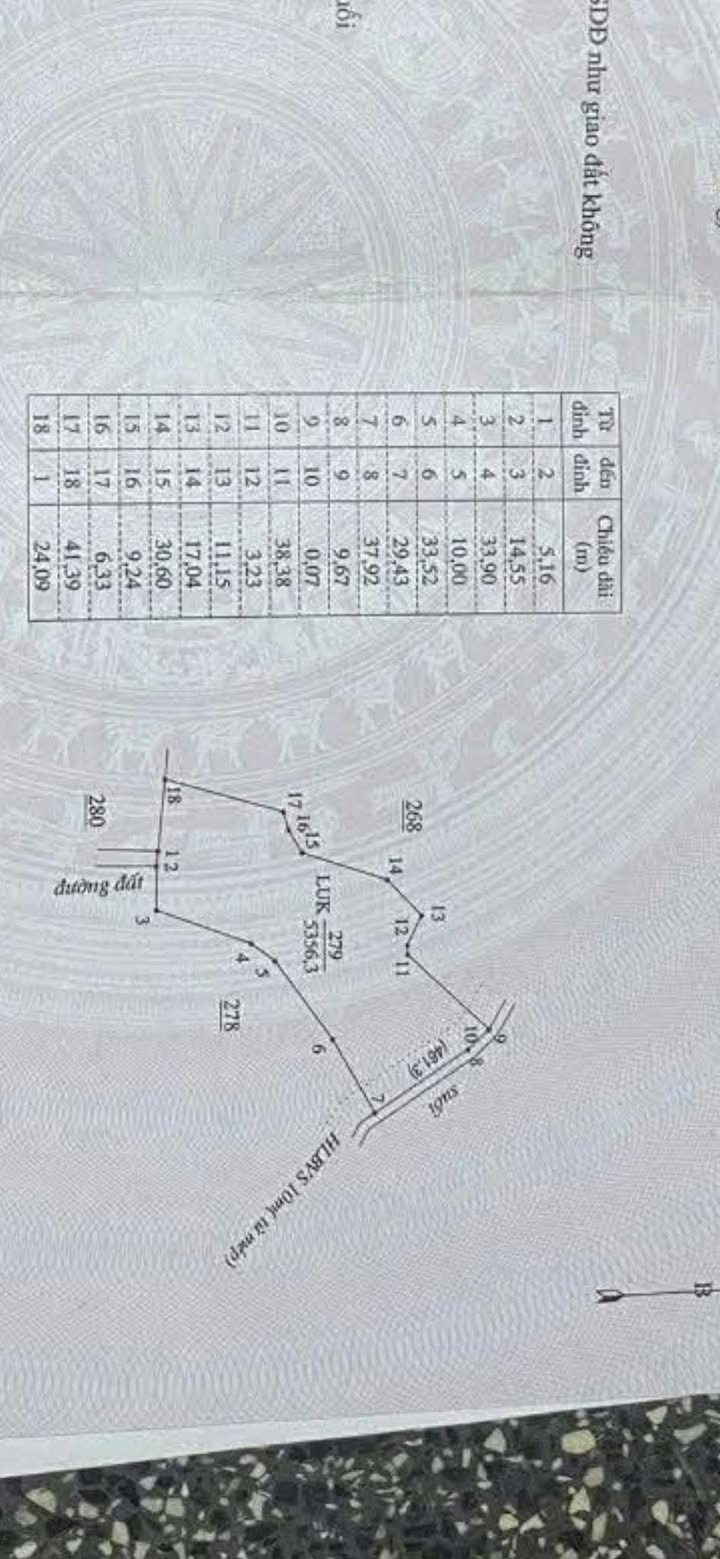 Đất Rẫy Phú Riềng 5000m² - Nghỉ dưỡng lý tưởng, giá tốt!