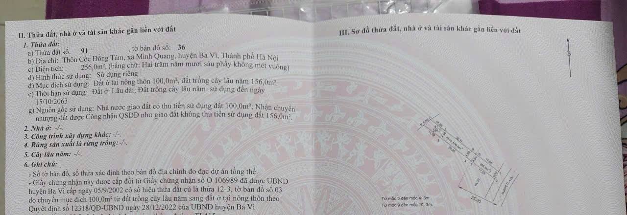Bán Đất Vàng Mặt Đường Cốc Đồng Tâm, Ba Vì - 531m² Giá Tốt