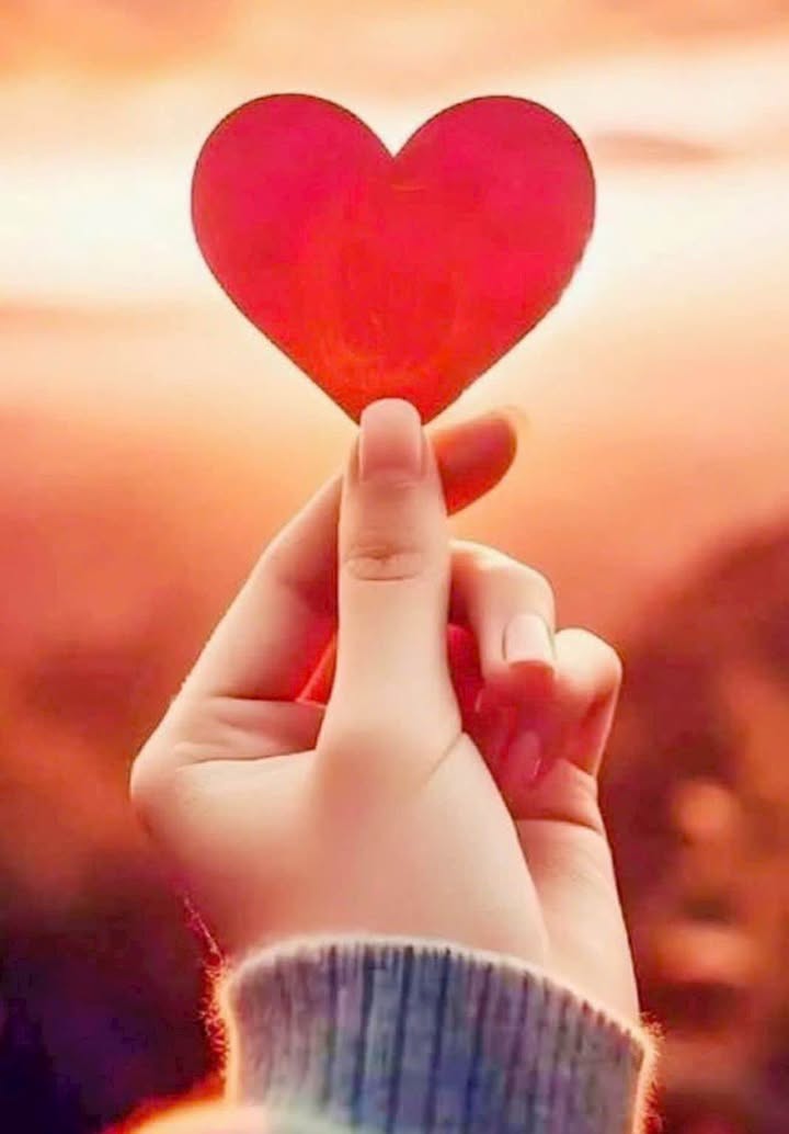 Bán Đất Thổ Cư 108m² Tân Phong, Biên Hòa - Sổ Hồng Riêng, Giá Tốt