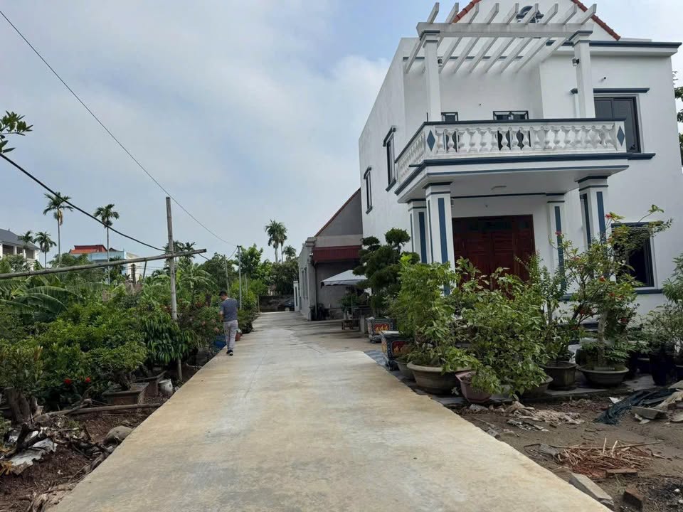 Đất Bạch Hạ, Phú Xuyên - 83m² Nở Hậu, Ô Tô Tránh - 1.65 Tỷ