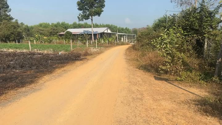 Đất nền Bến Cầu, Tây Ninh 150m² full thổ cư - Giá F0 290 triệu