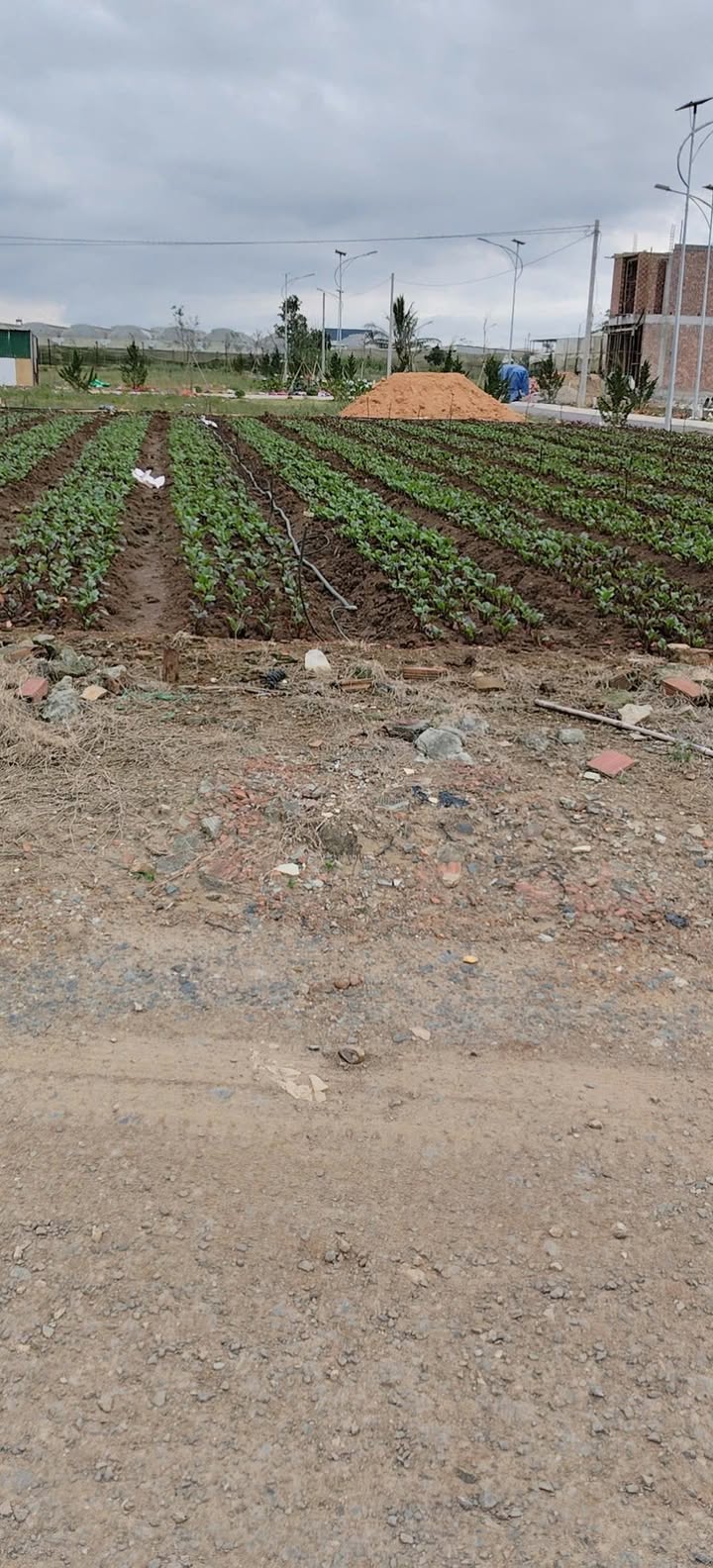 Đất nền Thị trấn Thạnh Mỹ 72m² 630 triệu - Tiềm năng tăng giá vượt trội!