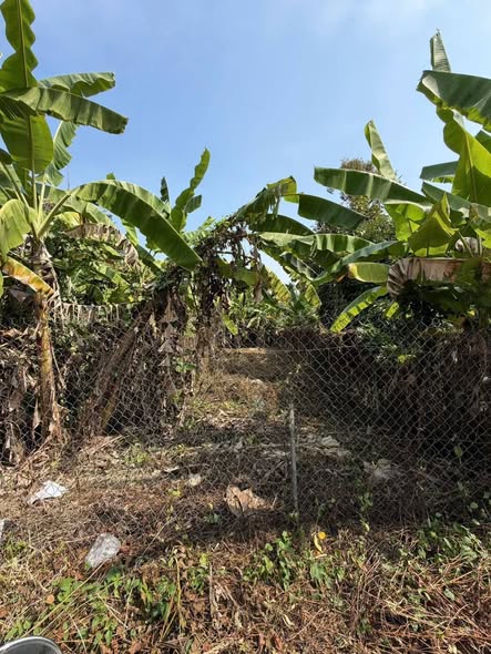 Đất nền Hưng Định, Thuận An 222m² giá 4.4 tỷ - Tiềm năng tăng giá!