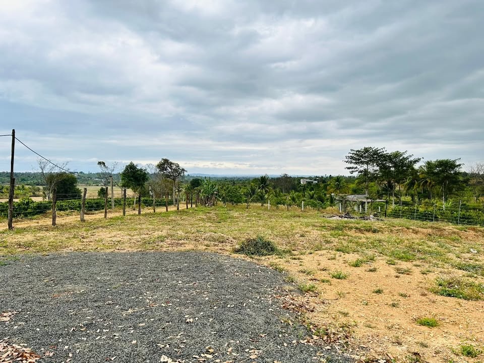 Đất vườn Buôn Đôn 2155m² giá 790 triệu - Đầu tư dài hạn!