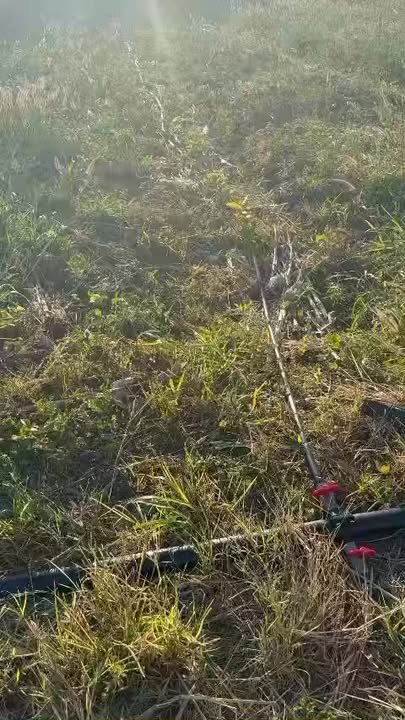 Đất Vườn 4ha Đắk Nông - Trồng 9000 Cây Cà Phê, Giá 2 Tỷ