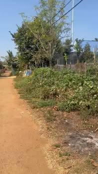 Đất nền TĐC Bệnh viện mới Đắk Mil 122m² giá 1.1 tỷ - Sổ đỏ chính chủ