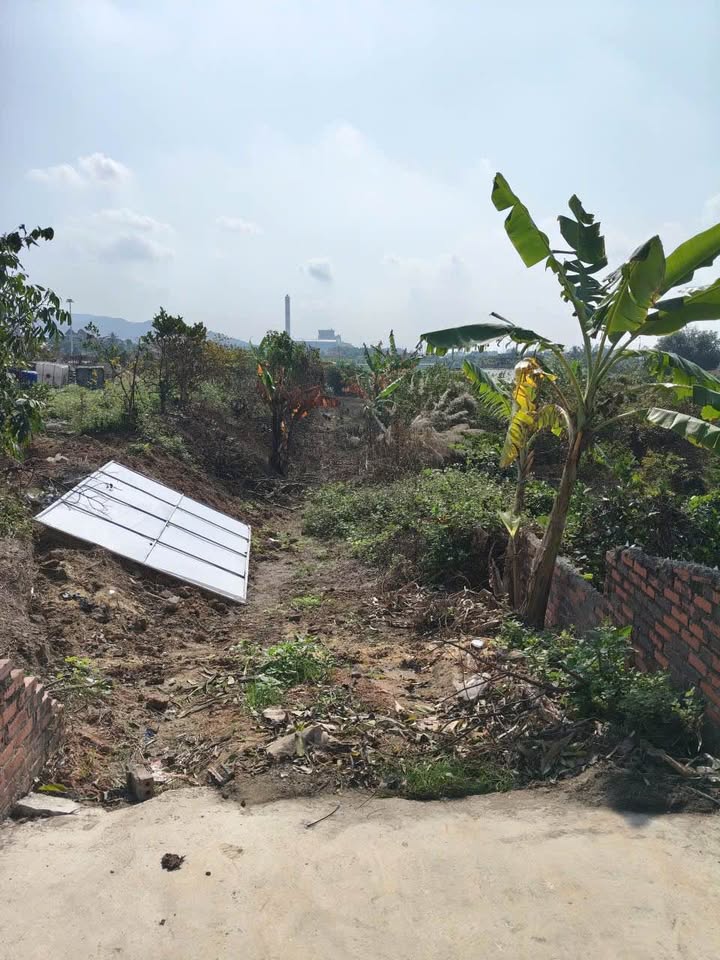 Đất nền Tràng An, Đông Triều 728m² - Tiềm năng tăng giá, Sổ đỏ sẵn sàng!