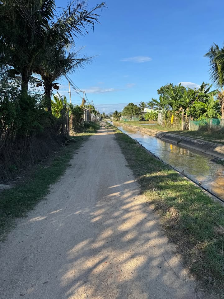 Đất nền Ninh Hòa, Khánh Hòa 1674m² – Tiềm năng tăng giá vượt trội!