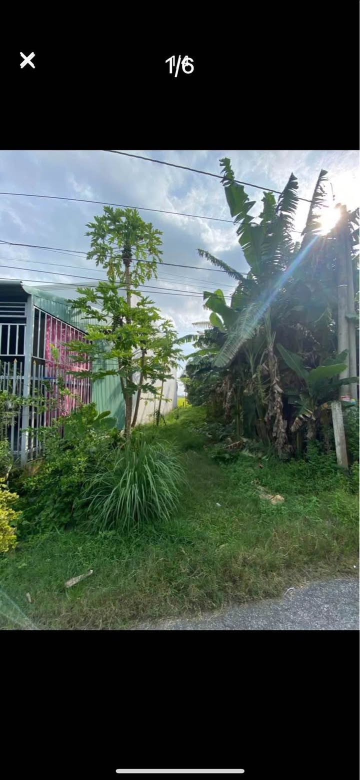 Đất nền Rạch Dầu, Long Xuyên 115m² hướng Đông Bắc - Sổ đỏ sẵn sàng giao dịch