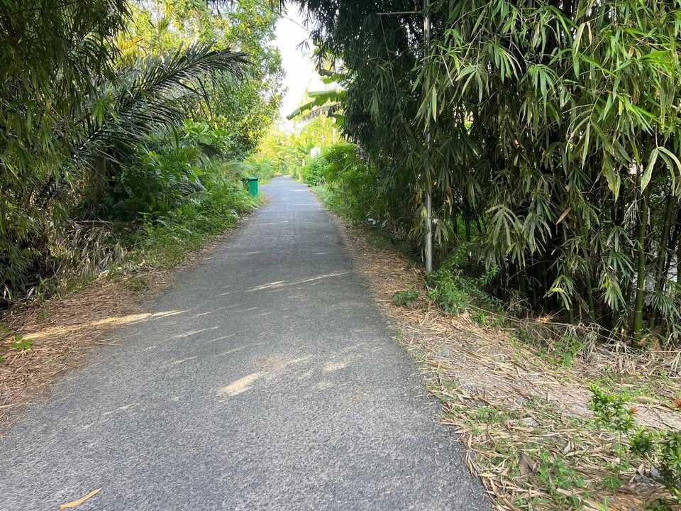 Đất nền Long Hồ Vĩnh Long 228m² giá 4xx triệu - Sổ đỏ chính chủ