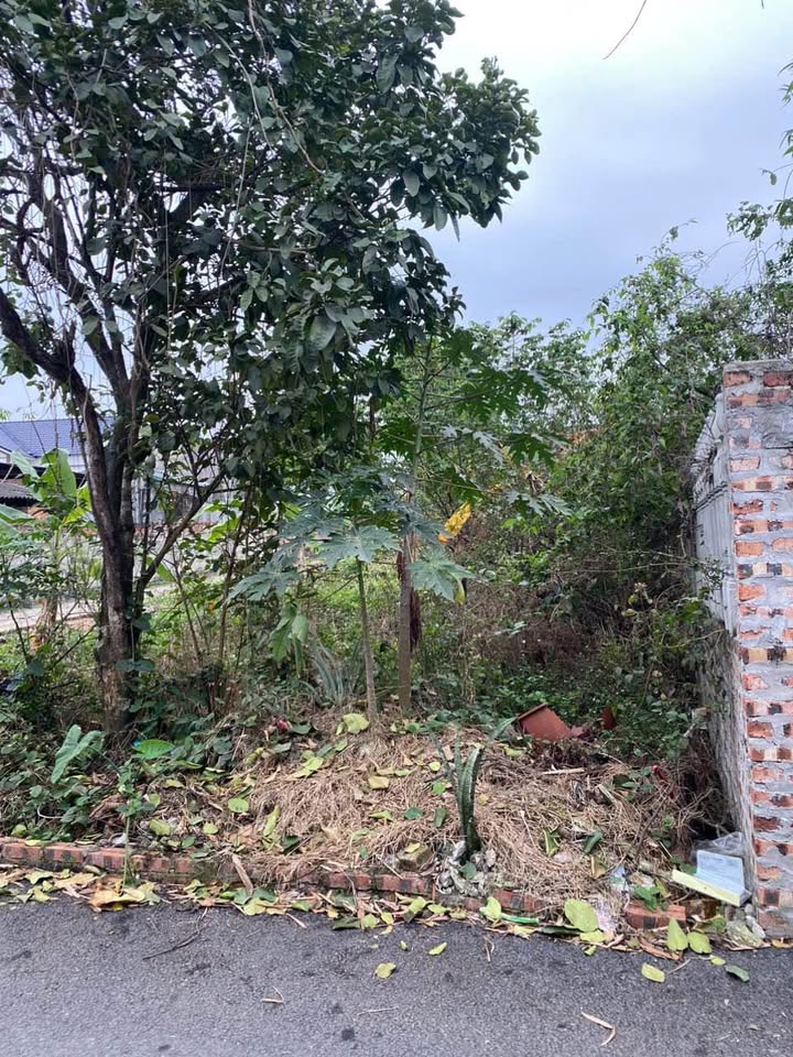 Đất nền Diên Lâm, Vĩnh Tường 107m² - Tiềm năng tăng giá X4!