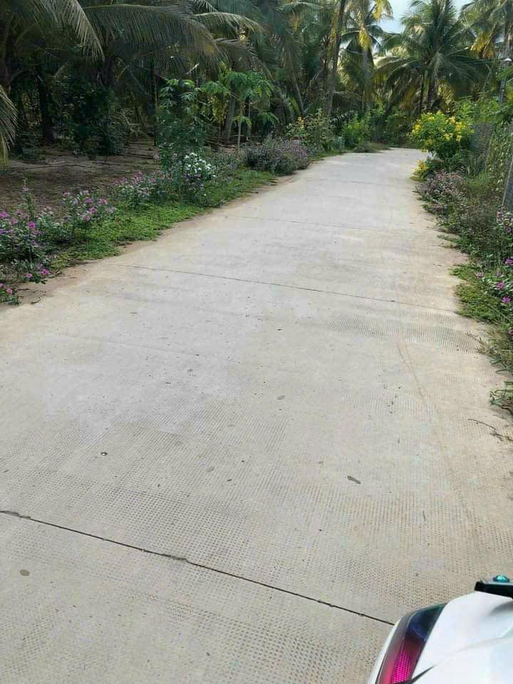 Đất nền Xã Phước Hiệp Mỏ Cày Nam 720m² - Giá tốt hiếm có!