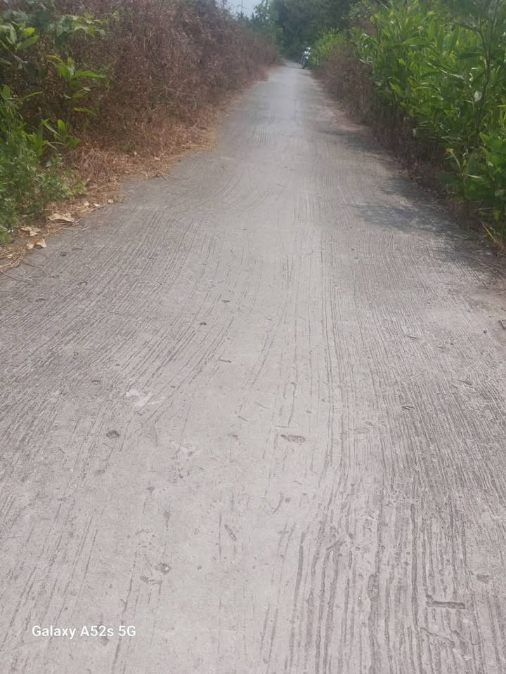 Bán Nền Đất 115m² Xã Tân Long Hội, Vĩnh Long - Sổ Đỏ, Giá Tốt