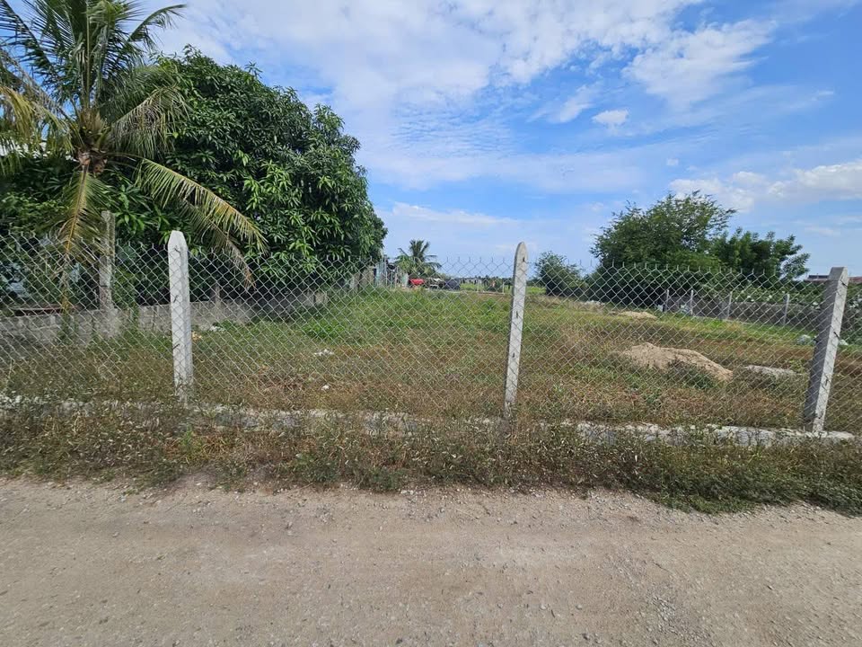 Đất Thổ Cư Phan Rang 131m² - Sổ Hồng Sẵn Sàng Giao Dịch