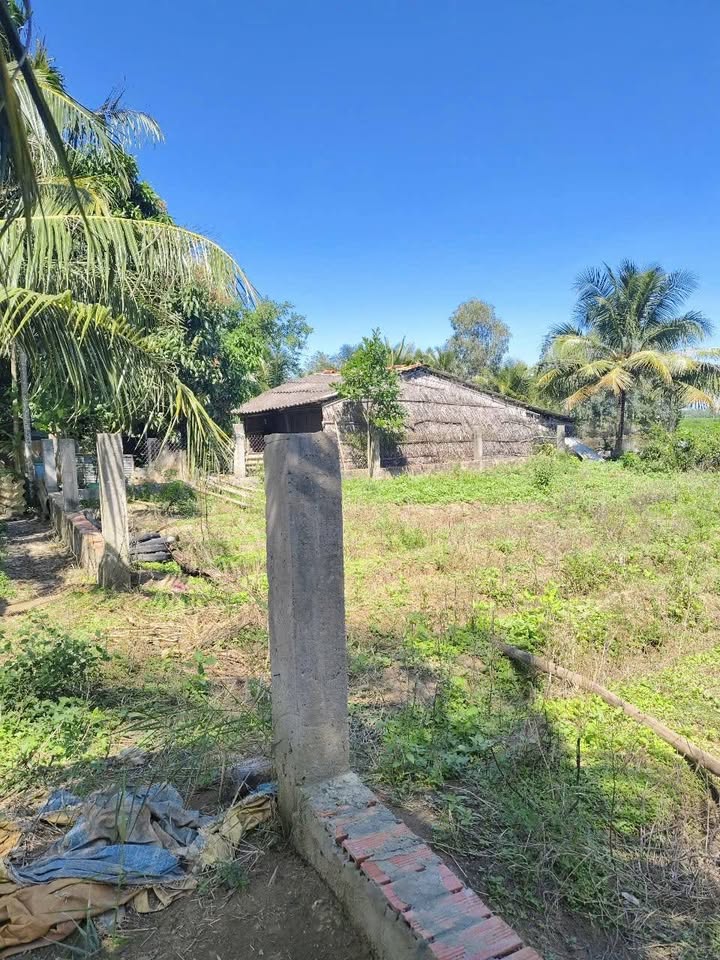 Đất nền Mặt tiền Đại Tâm Sóc Trăng - Tiềm năng tăng giá!