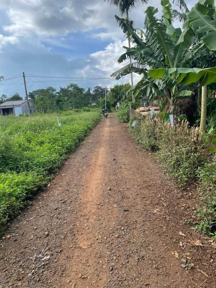 Đất nền Hòa Thắng BMT 125m² giá 575 triệu - Sổ đỏ chính chủ