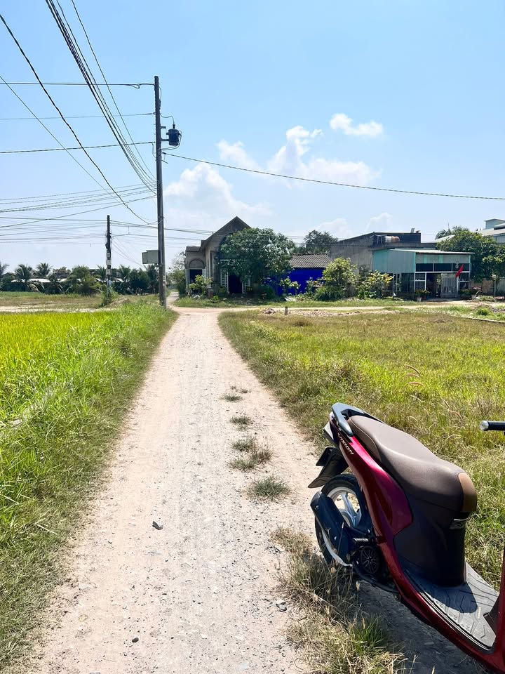 Đất Nền Đức Hòa Long An 130m² - Sổ Hồng Thổ Cư, Sẵn Sàng Xây Nhà