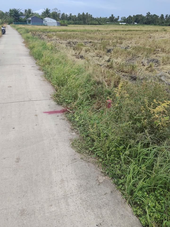 Đất nền Tân Hưng Long Phú 1365m² giá 663 triệu - Tiềm năng sinh lời!