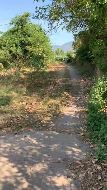 Đất Tân Hà Bình Thuận 300m² 900 triệu - Giá tốt hiếm có