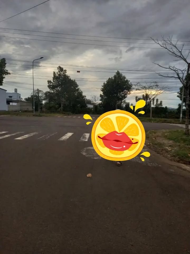 Đất nền Golden City Bảo Lộc 217m² chỉ 1.8 tỷ - Xây dựng tự do!