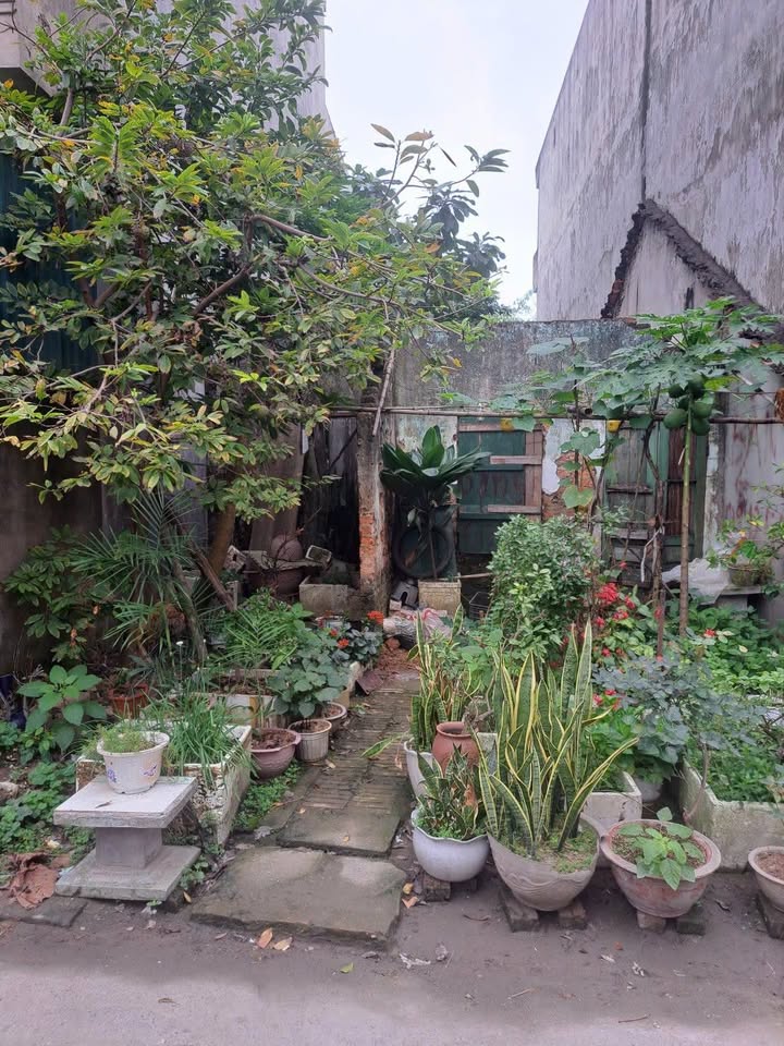 Đất nền Lai Cách Cẩm Giàng 100m² - Tiềm năng tăng giá vượt trội!