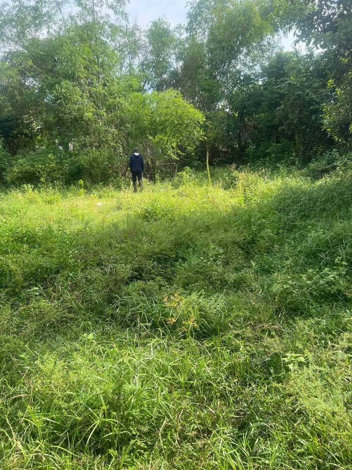 Đất nền 167m² kiệt Nguyễn Khoa Chiêm, Huế - Sẵn sàng xây nhà