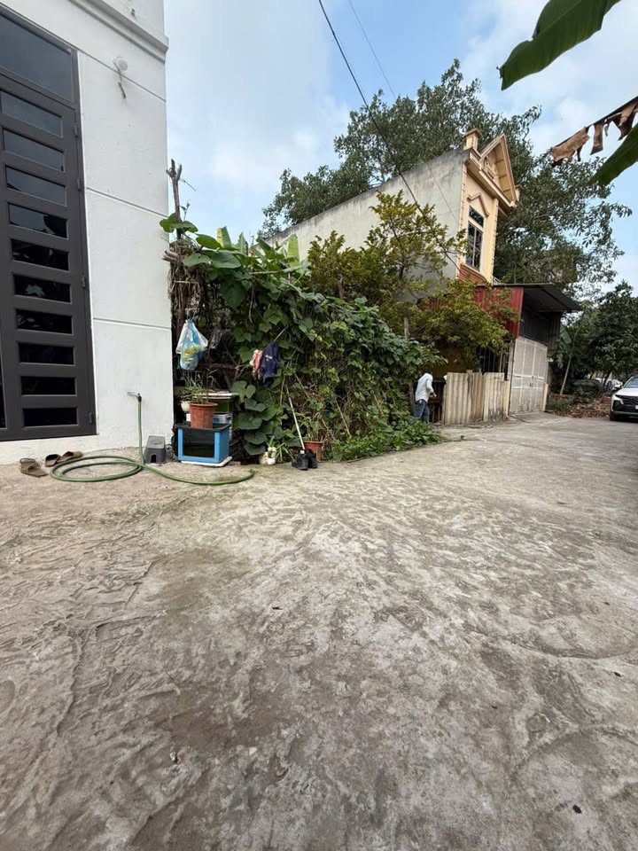 Đất nền Bến Gót Việt Trì 81m² giá 1.9 tỷ - Vị trí đắc địa!