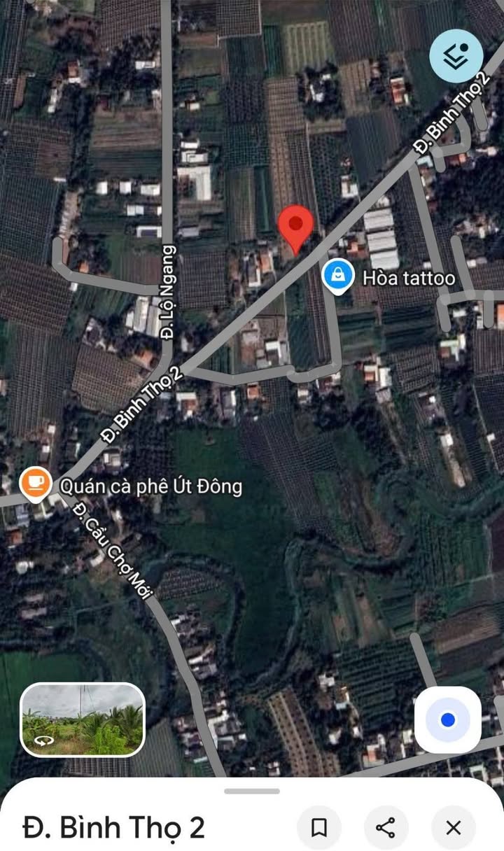 Đất nền Chợ Gạo 219m² - Đường nhựa 5m, Sổ đỏ chính chủ!