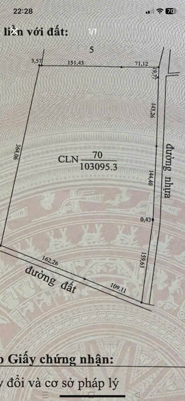 Đất nền Châu Thành Tây Ninh 100.000m² - Sổ đỏ chính chủ!