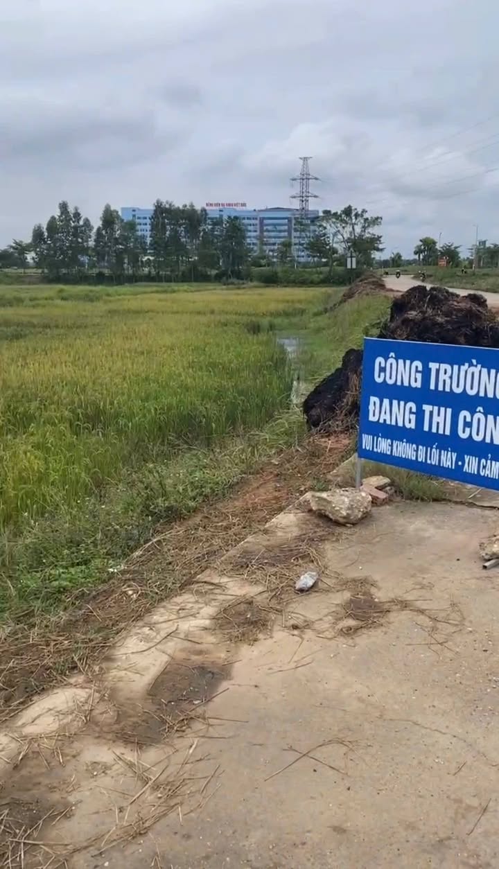 Bán Đất 300m² Phượng Lâu, Việt Trì - Sổ Đỏ, Mặt Tiền Rộng, Giá Tốt