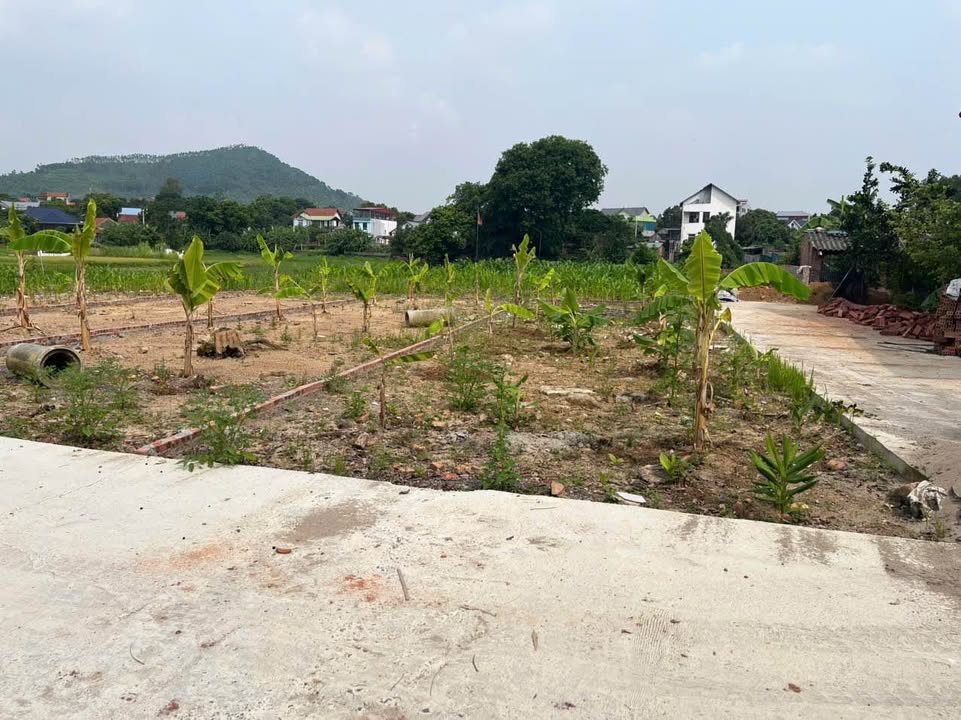 Đất Sổ Đỏ 110.4m² Xã Hương Cần, Thanh Sơn - Giá Rẻ Nhất Khu Vực Chỉ 800 Triệu