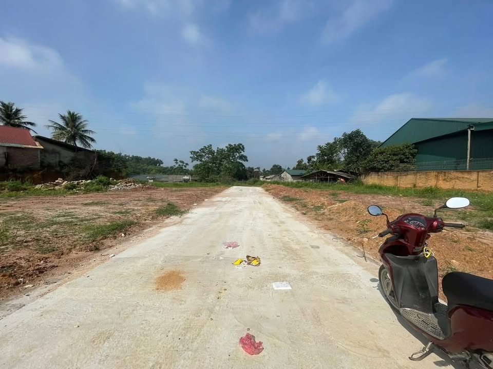 Bán Đất Nền 123.9m² Lô Góc Băng 2 QL2, Việt Trì - Giá Tốt Đầu Xuân