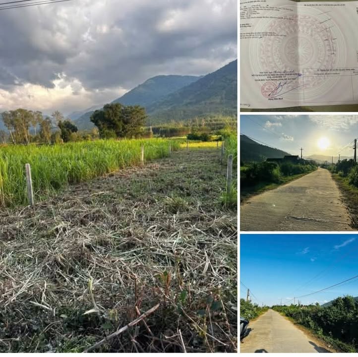 Đất nền Tây Phú, Tây Sơn 120m² - Đất thổ cư 100% hiếm có!