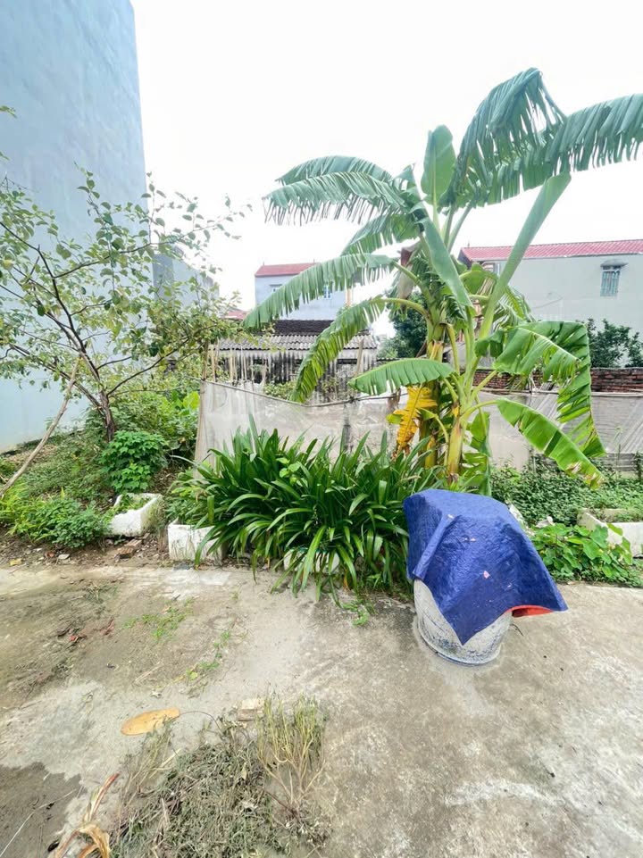 Đất nền Mê Linh 58m² - Sổ đỏ chính chủ, ô tô vào tận nhà!