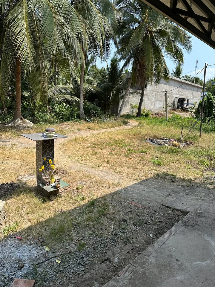 Đất nền Bình Ninh Chợ Gạo 2000m² - Đất thổ cư 100%!