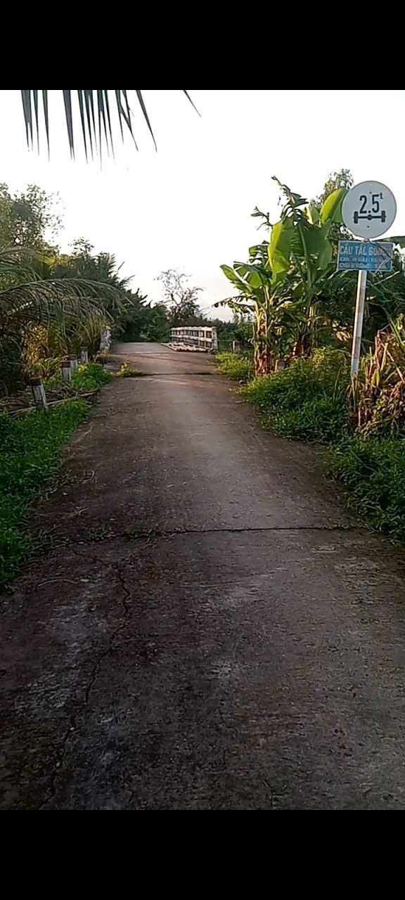 Đất nền Tham Đôn 10.000m² giá 900 triệu - Tiềm năng tăng giá!