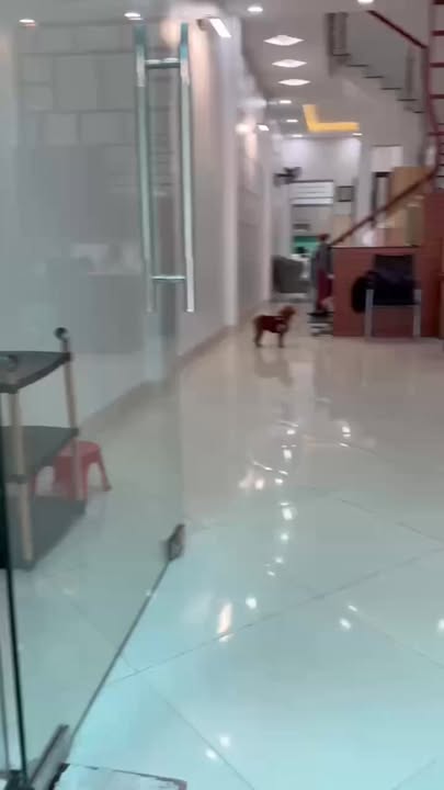 Nhà 2 Tầng Đường Lê An, Bắc Giang 77m² - Giá 4.7 Tỷ, Sẵn Sàng Ở Ngay