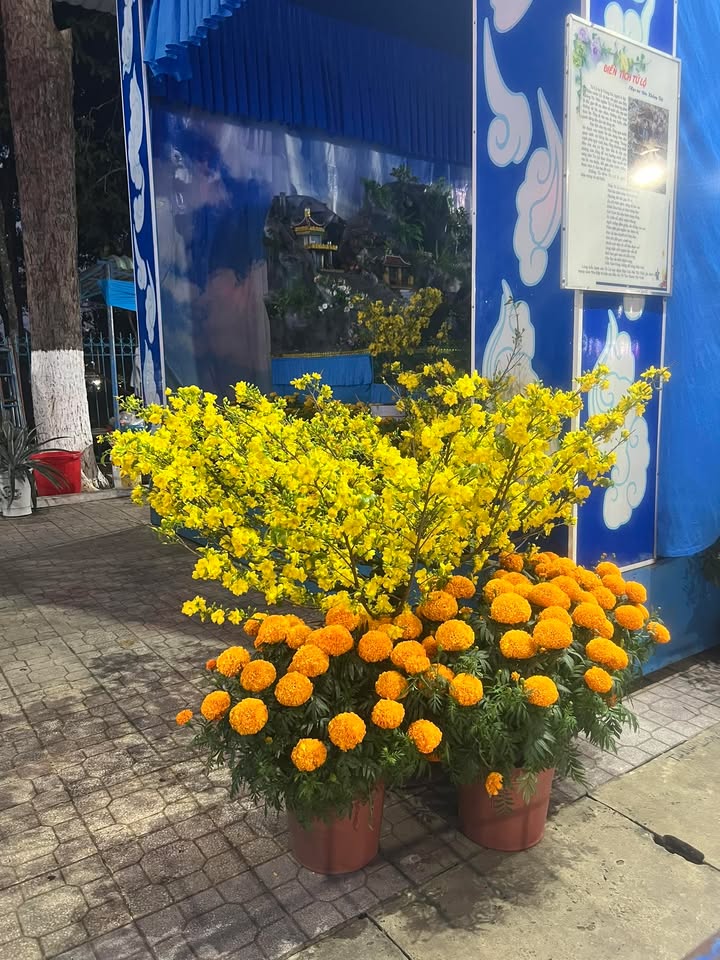 Đất Nền Châu Thành Tây Ninh 1000m² - Tiềm Năng Tăng Giá Vượt Trội!