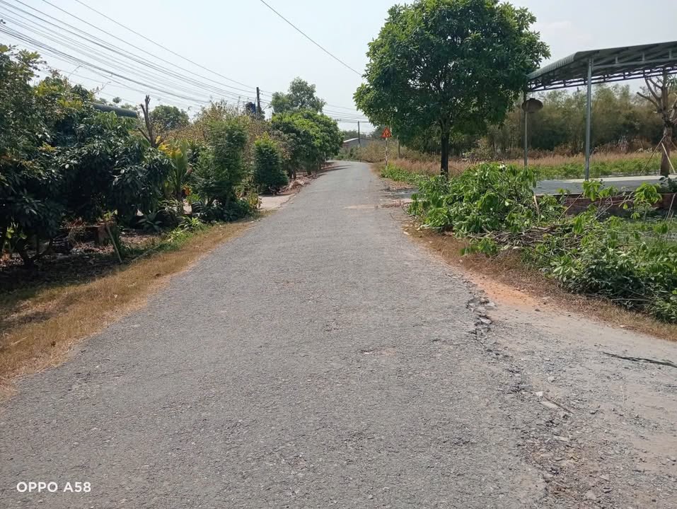 Bán Đất Long Chữ Bến Cầu 488m² - Sổ Riêng, Giá Tốt Đầu Tư