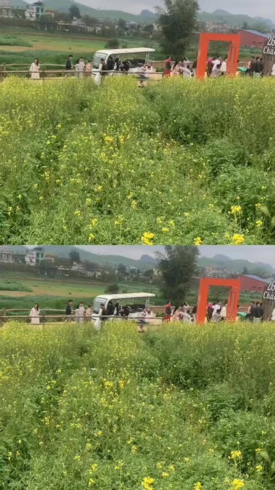 Đất nền Mộc Châu 250m² Thổ cư - Sổ đỏ sẵn sàng giao dịch