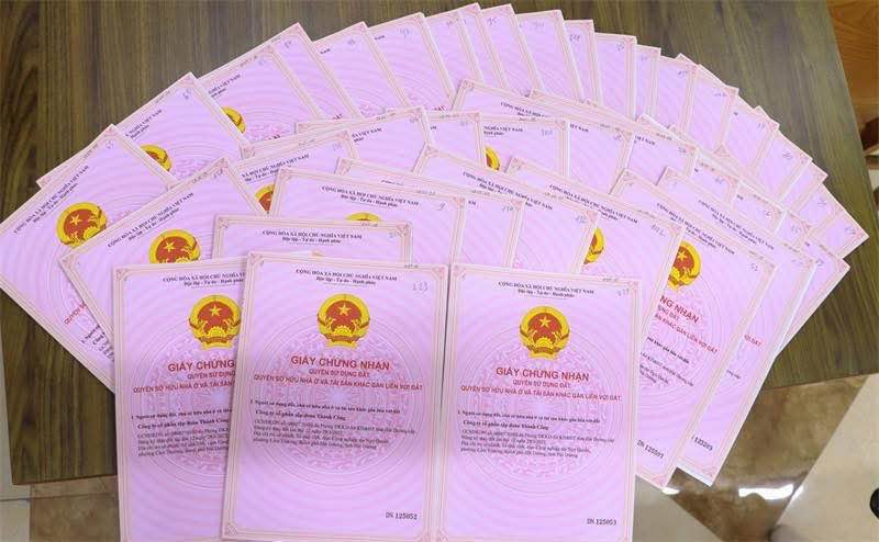 Đất nền Quỳ Hợp 1920m² sổ đỏ - Giá chỉ từ 4xx triệu