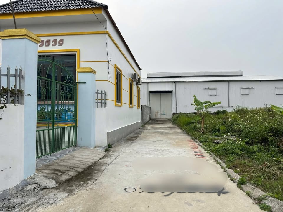 Đất nền 102m² Thôn Như Thị, Thủy Nguyên - Giá 900 triệu, sát KCN