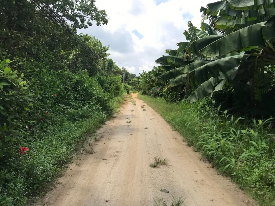 Đất nền Phú Hòa, Định Quán 882m² giá 380 triệu - Sổ hồng chính chủ!