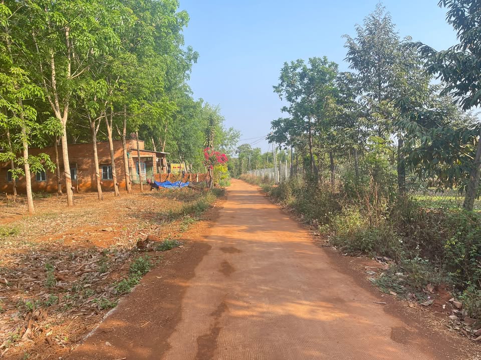 Đất Vườn Phú Riềng 13.600m² - Sổ Đỏ Chính Chủ, Đầu Tư Ngay