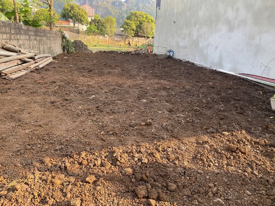 Đất nền Mộc Châu, Sơn La 133m² - Sổ đỏ chính chủ, đường ô tô!