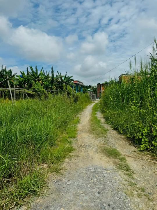 Đất nền Mỹ Lộc Cần Giuộc 1243m² - Sổ đỏ chính chủ, đường ô tô!