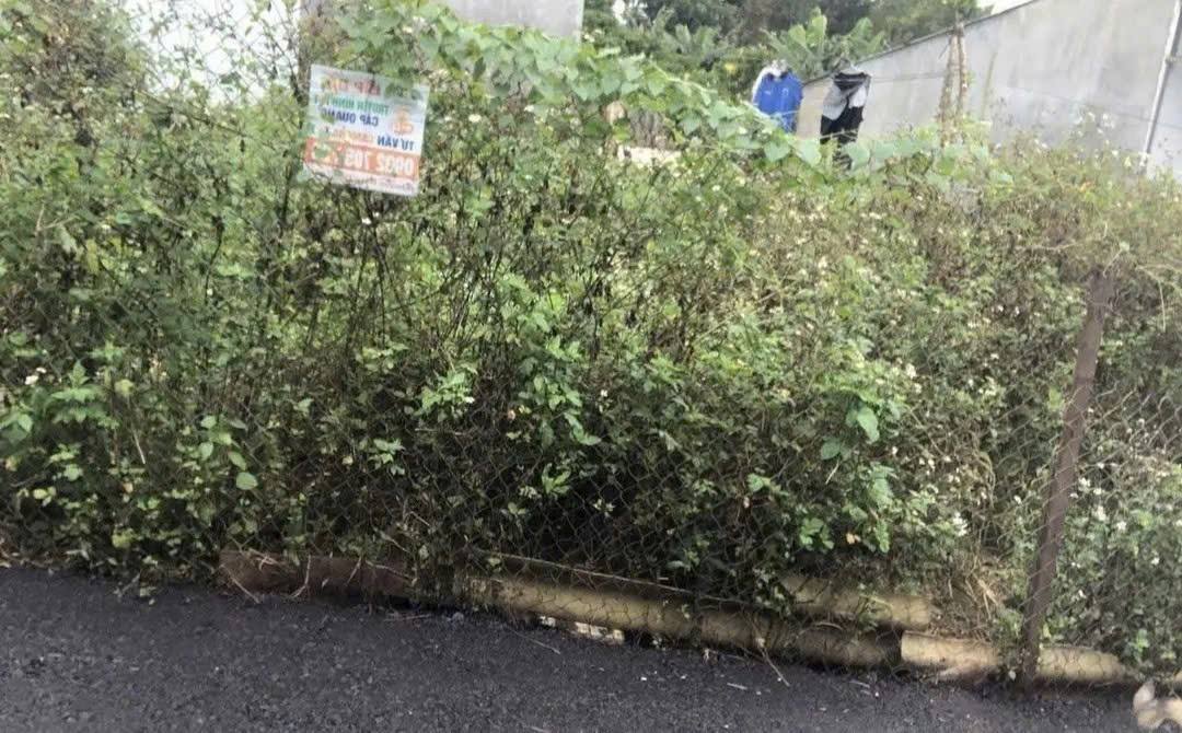 Đất nền Bảo Lộc 200m² - Giá tốt hiếm có!